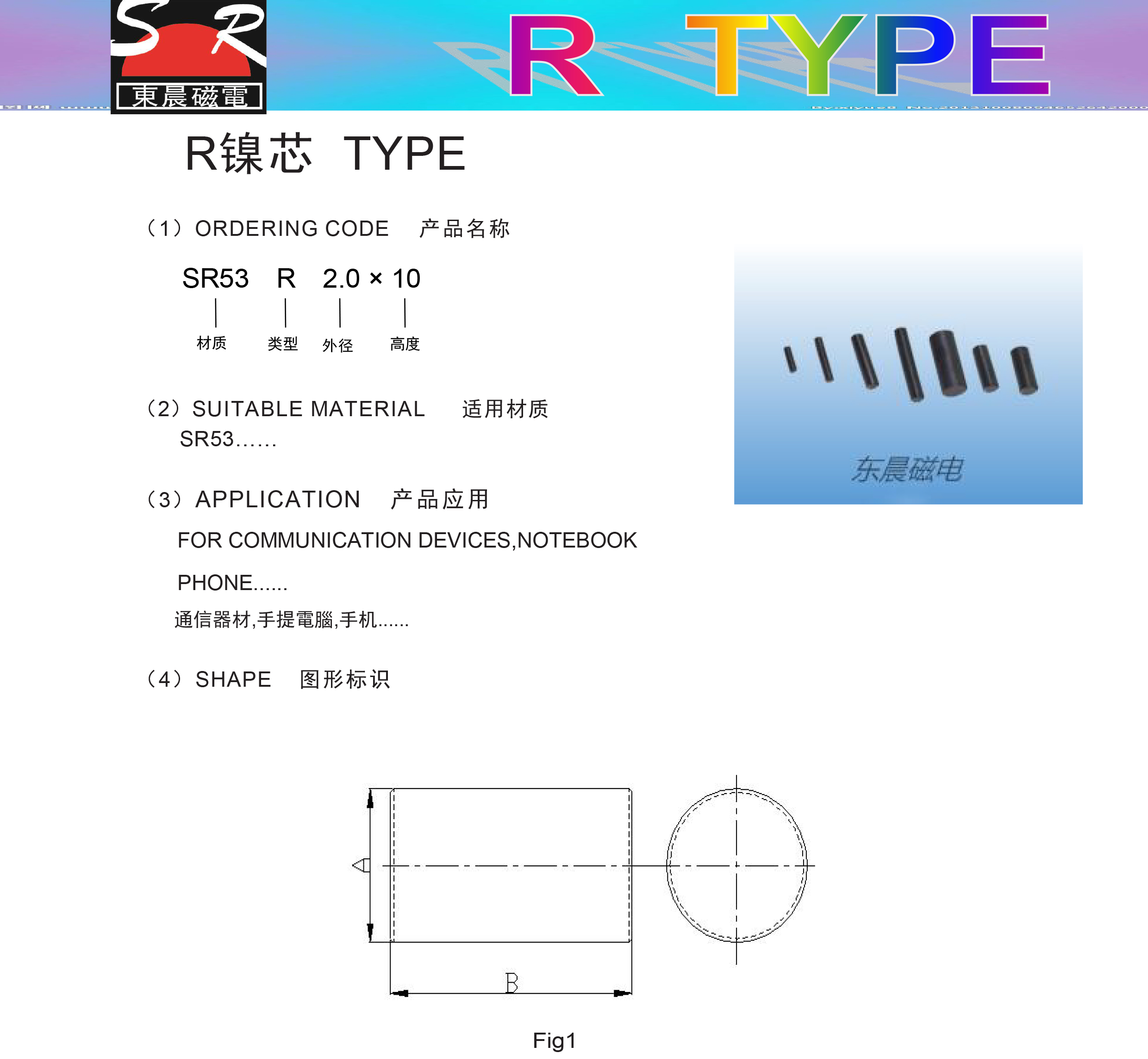 R型-1.jpg